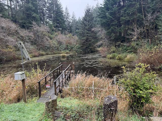 Bandon Fish Hatchery - Image 2