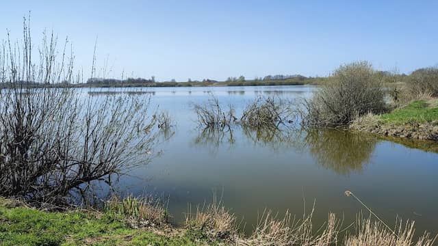 Aussichtsturm Dümmer Nord - Image 1