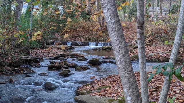 Stekoa Creek Park - Image 2