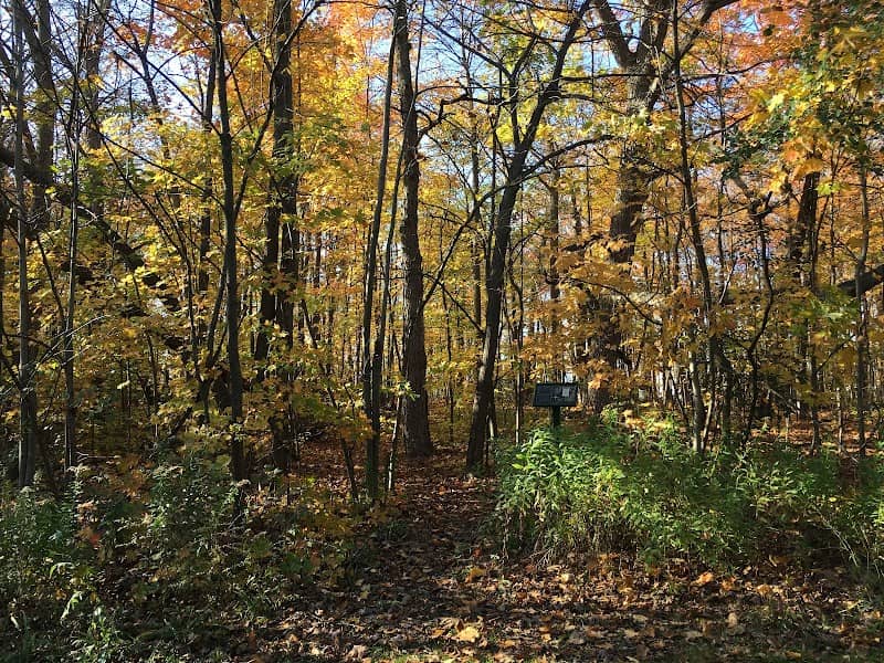 Gordon Tabor Woods - Image 1