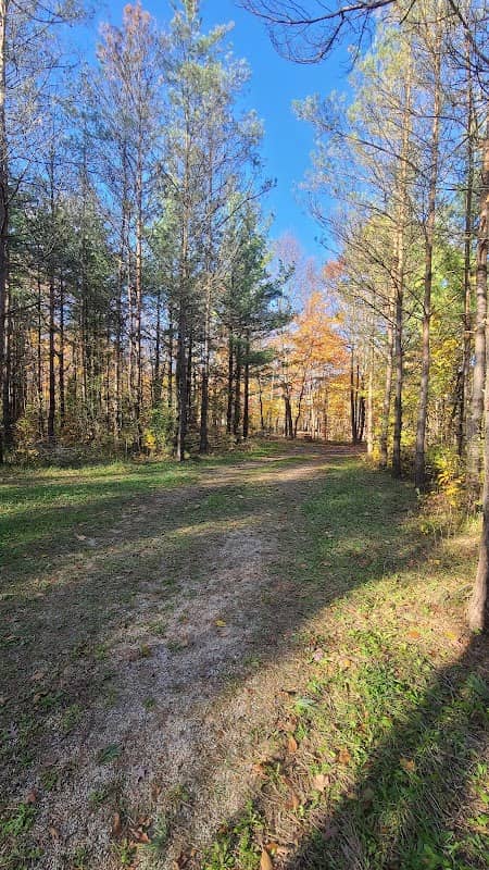 Gordon Tabor Woods - Image 2