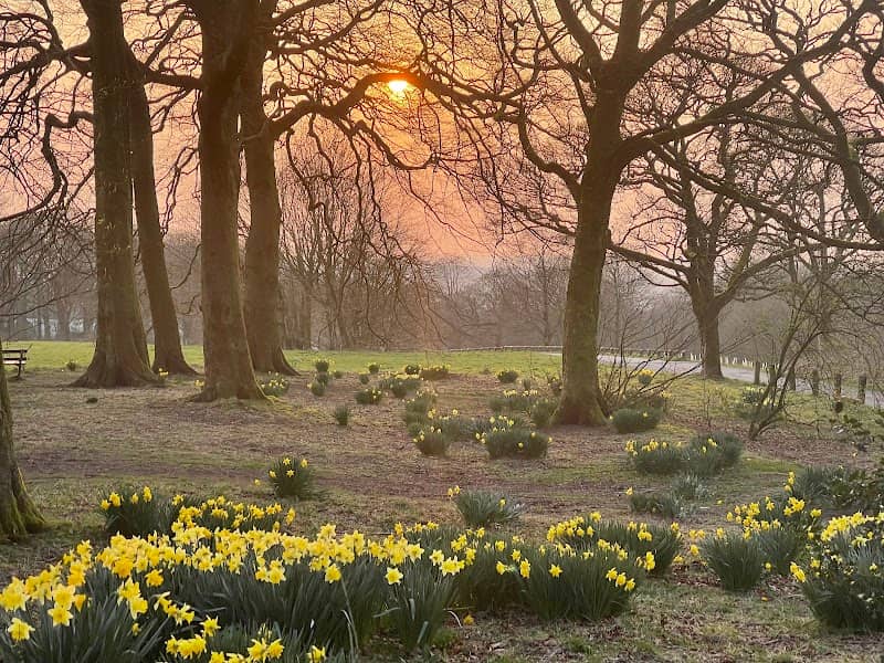 Ridgmont Park - Image 2