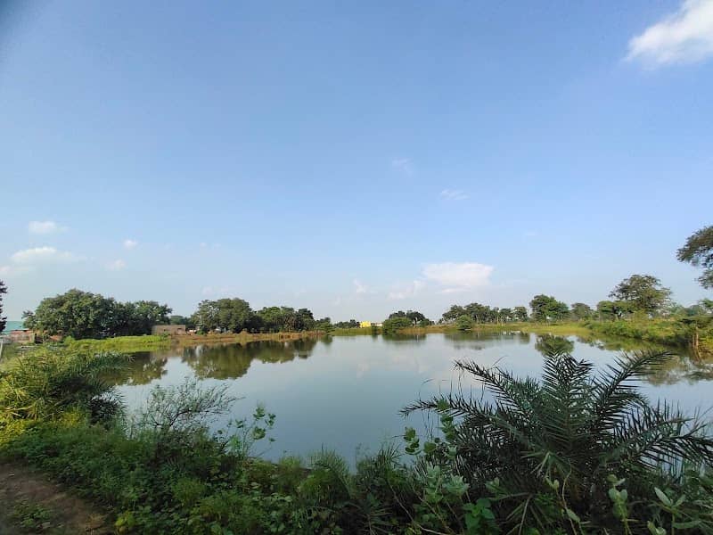 छोटे नवा तालाब, बोरियाकला - Image 1
