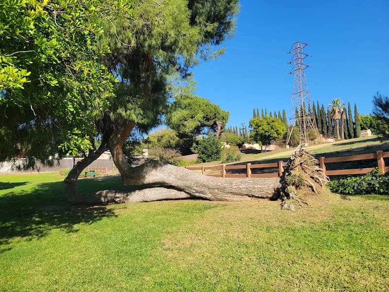 Edison Trails Park - Image 1