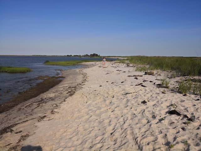 Dameron Marsh Natural Area Preserve - Image 3
