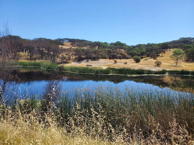 Foothill Regional Park - Image 2