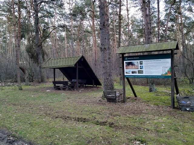 Leśna altana - Image 1