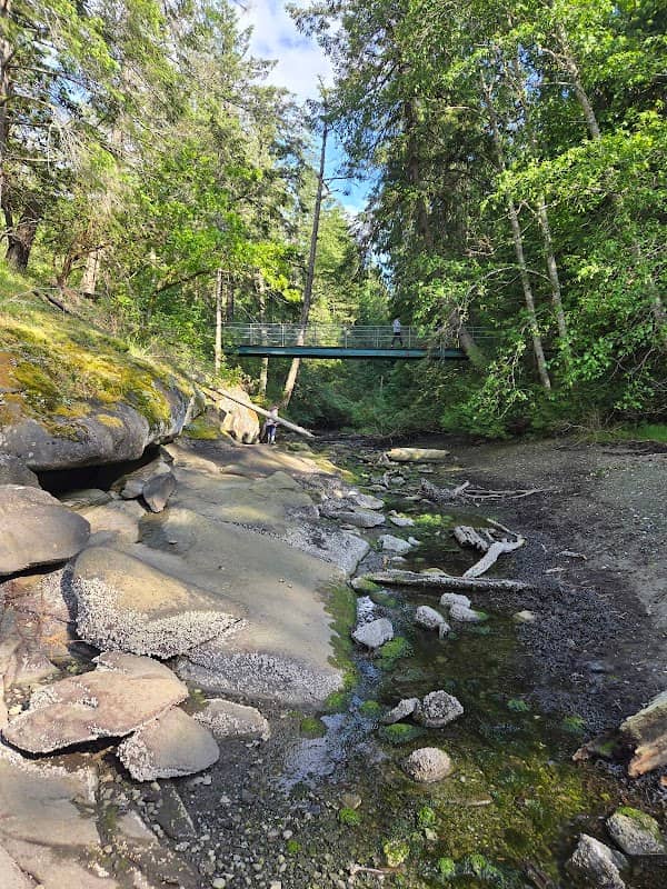 Cable Bay Trail bridge - Image 3