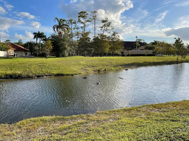 Wetlands Park - Image 1