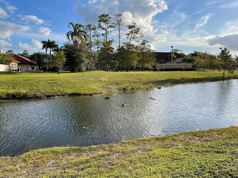Wetlands Park - Image 1