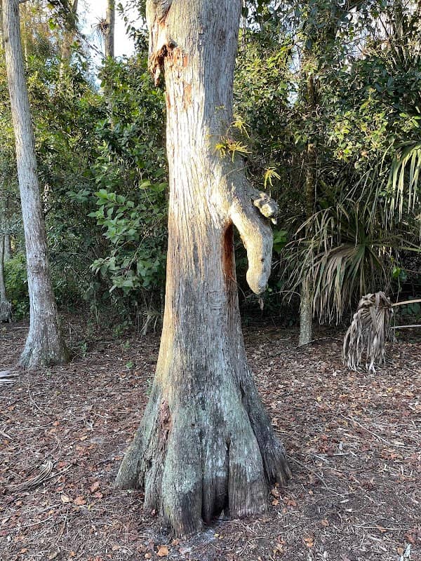 Wetlands Park - Image 2