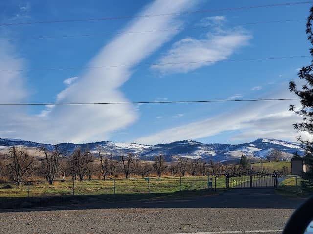 Lynn Newbry Park - Image 1
