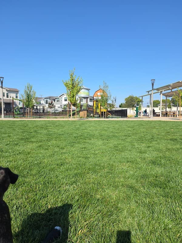 Corn Palace Park - Image 2