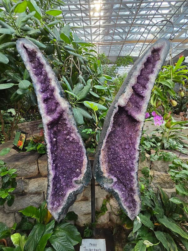 The Butterfly Palace & Rainforest Adventure - Image 1