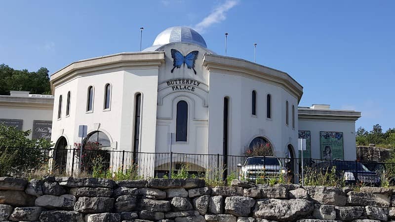 The Butterfly Palace & Rainforest Adventure - Image 2