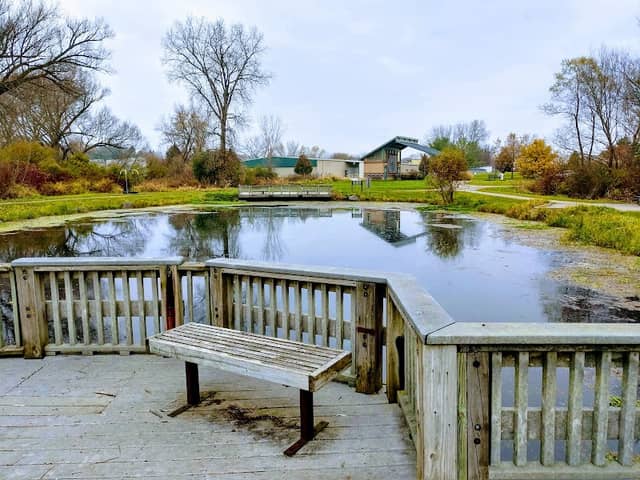 Capital Springs State Recreation Area - The Jenni and Kyle Preserve - Image 2
