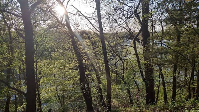 Cedar Hill Park - Image 1