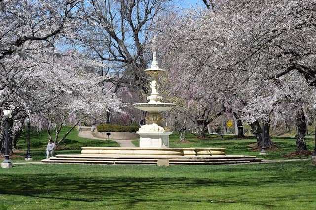 Brandywine Park - Image 1
