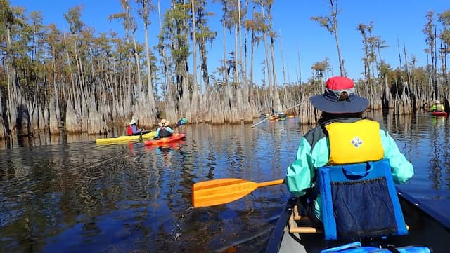 Ocheesee Pond Landing - Image 2