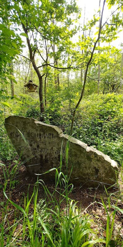 Karl Schemel Eiche - Image 2