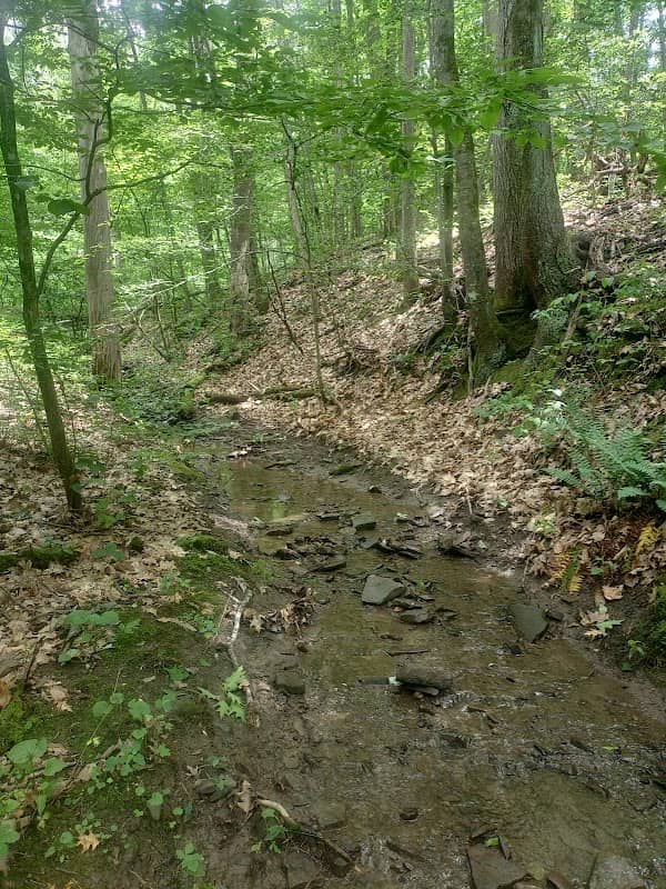Hidden Falls Hike Trailhead - Image 1