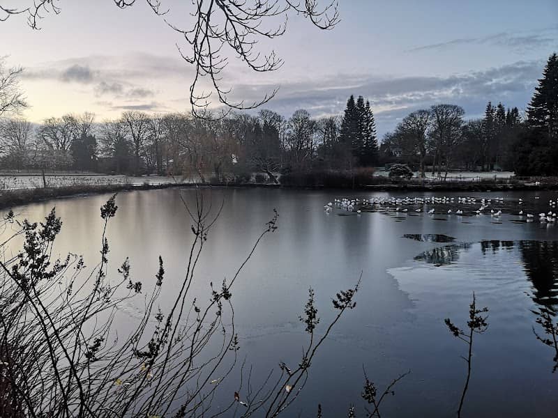 Springfield Park - Image 2