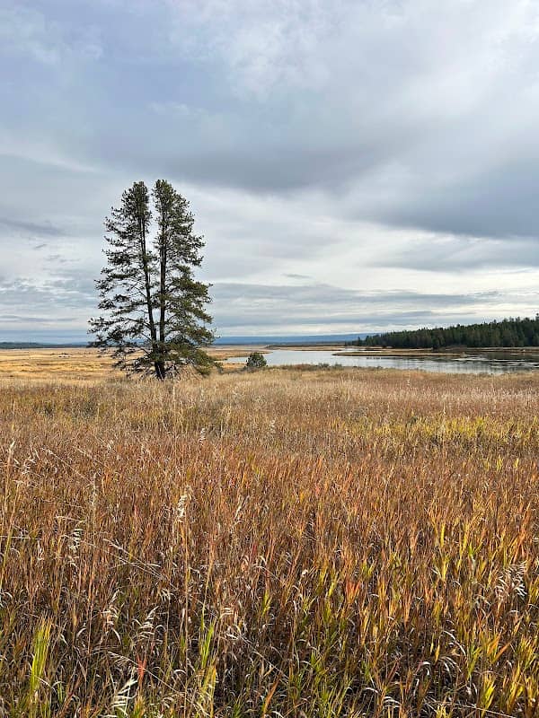 Harriman State Park - Scovel Place - Image 1