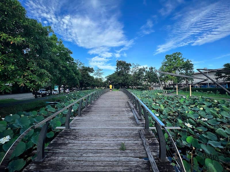 Sena Park - Image 2