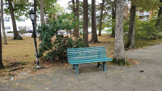 Webster Street Park - Image 1