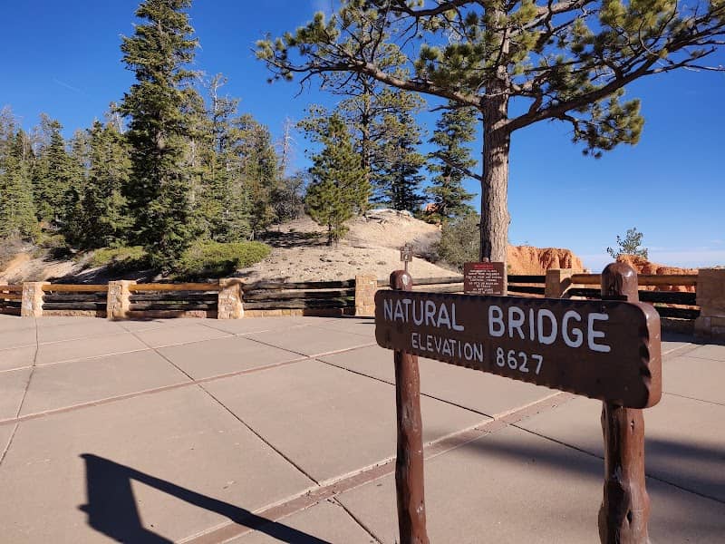Natural Bridge - Image 2