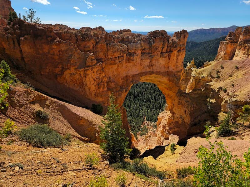 Natural Bridge - Image 1