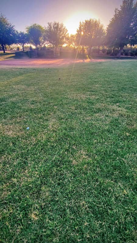 Wildlife Ridge Park - Image 2