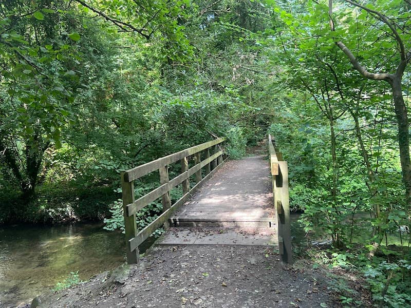 Spot Lane Nature Area - Image 2