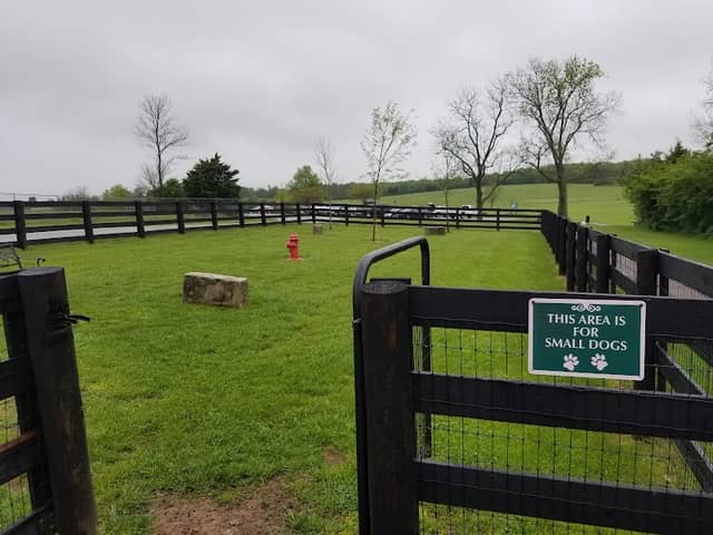 Mackenzie Sayre Dog Park - Image 2