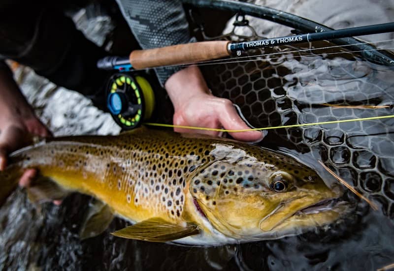 Appalachian Anglers - Image 1