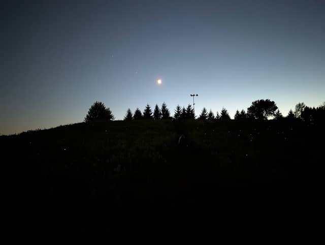 Spella Park Sled Hill - Image 1