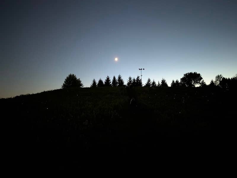 Spella Park Sled Hill - Image 1
