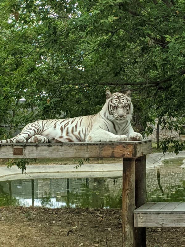 Dakota Zoo - Image 3