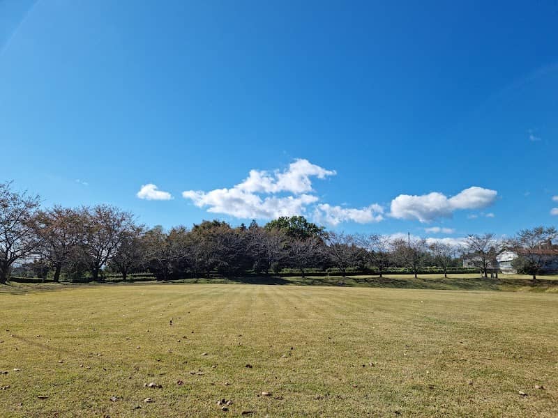 Kami-Noda Fureai Park - Image 2