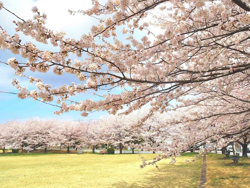 Kami-Noda Fureai Park - Image 1