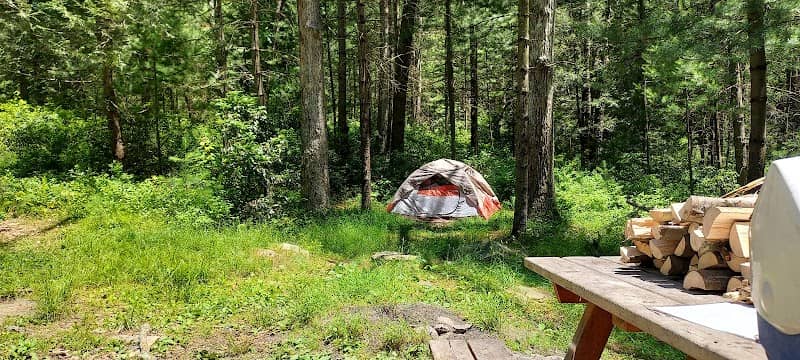 Primitive Campsite #11 - Image 2