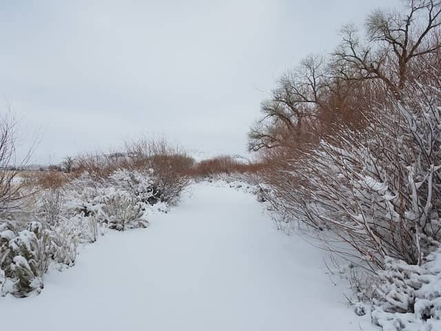 Rolling A Ranch - Image 2