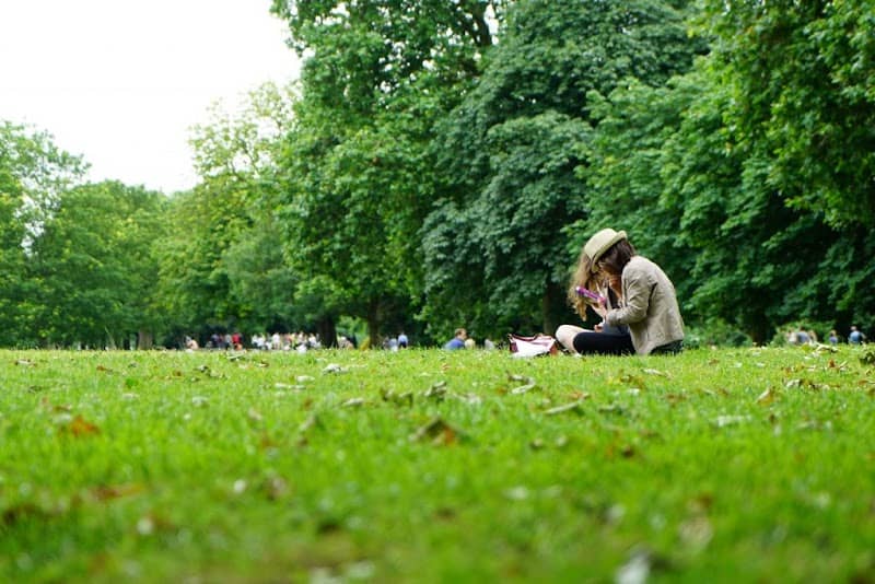 South Avenue Park - Image 1