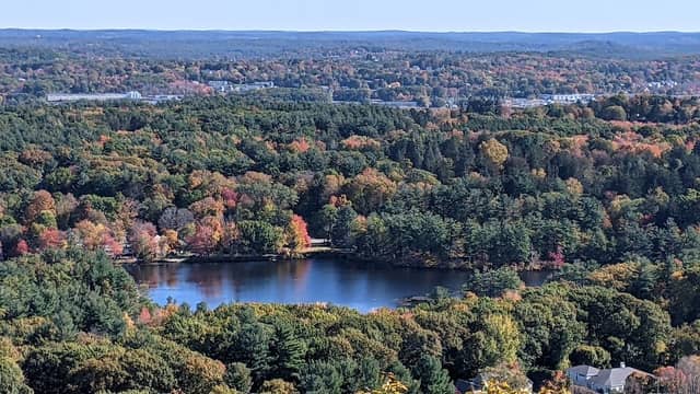K Mart Lookout - Image 1