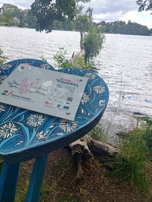 Nr. 2 Drzewo Uniesień, Szlak Michaliny Wisłockiej - Image 1