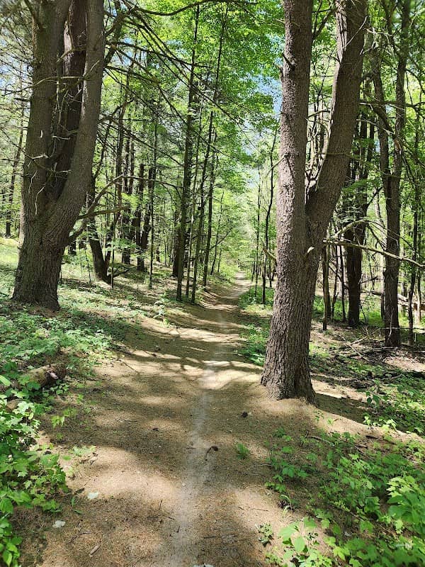 Yankee Springs Mountain Bike Trail - Image 1