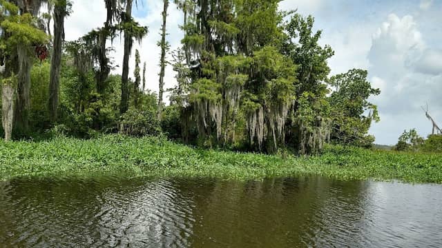 White Kitchen Nature Preserve - Image 2