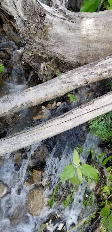 Natural spring - Image 1