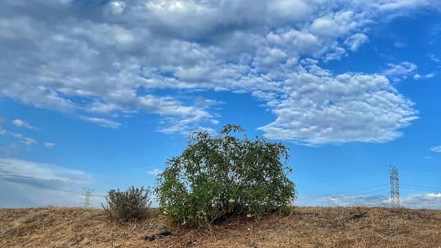 Rio Hondo River Trail - Image 2