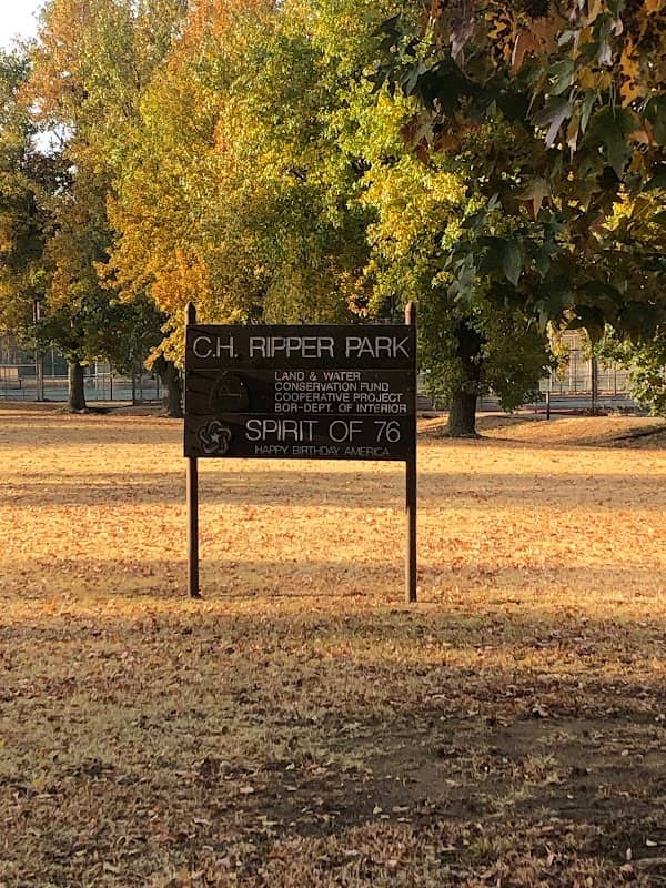 Ripper Park - Image 3